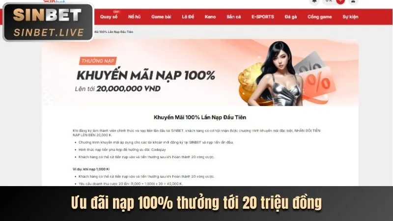 Hoàn trả cược và chương trình VIP